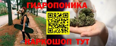 ПСИЛОЦИБИНОВЫЕ ГРИБЫ Гусиноозёрск