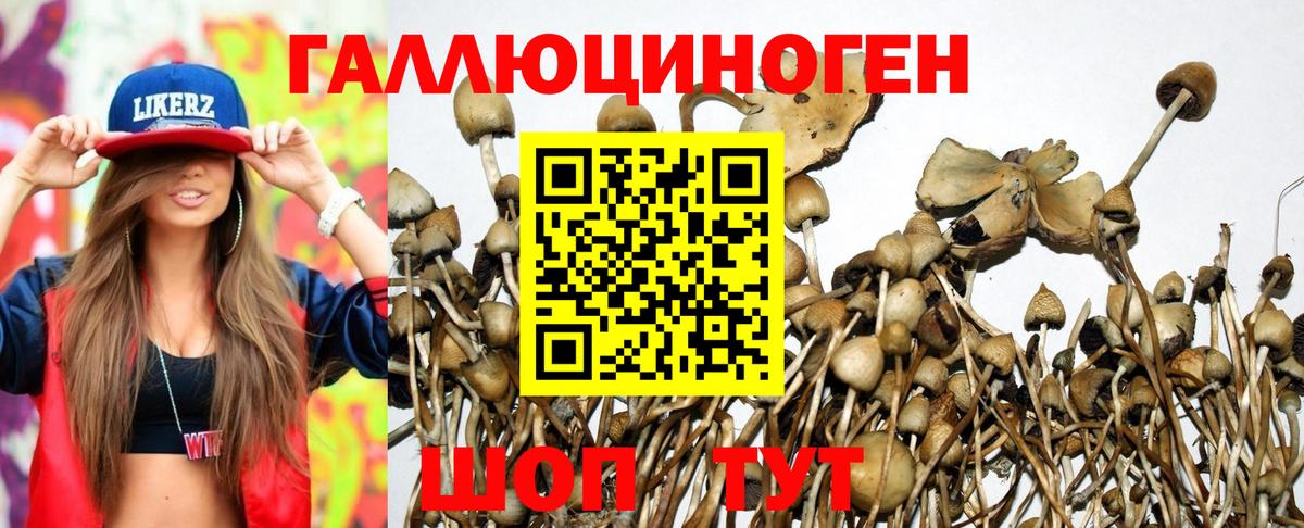 Псилоцибиновые грибы MAGIC MUSHROOMS  Вход с VPN  цена наркотик  Лянтор  Галлюциногенные грибы GOLDEN TEACHER 